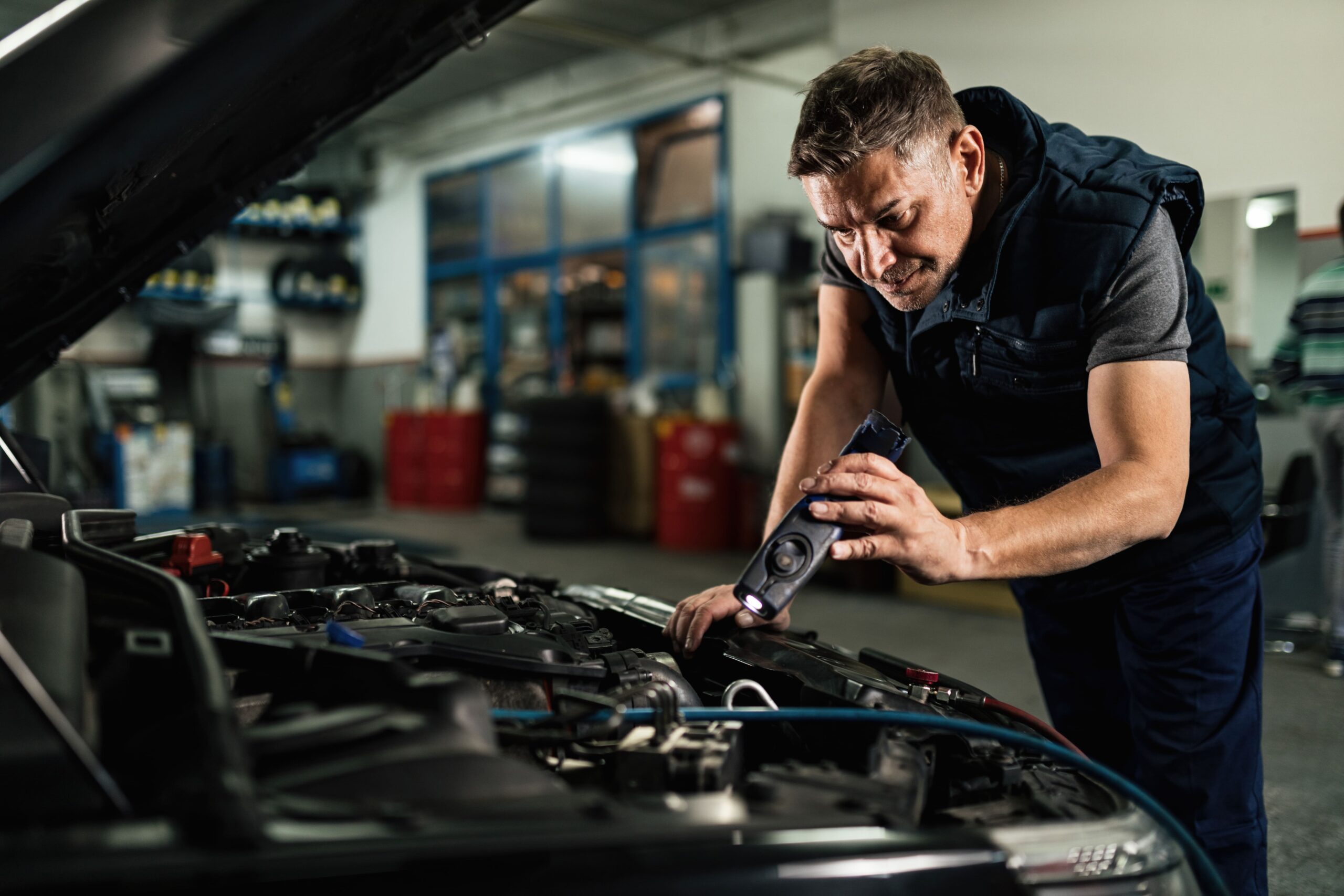 Bridges Recommended Services